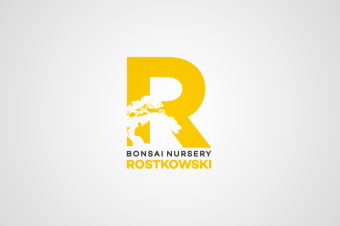 Bonsai Rostkowski